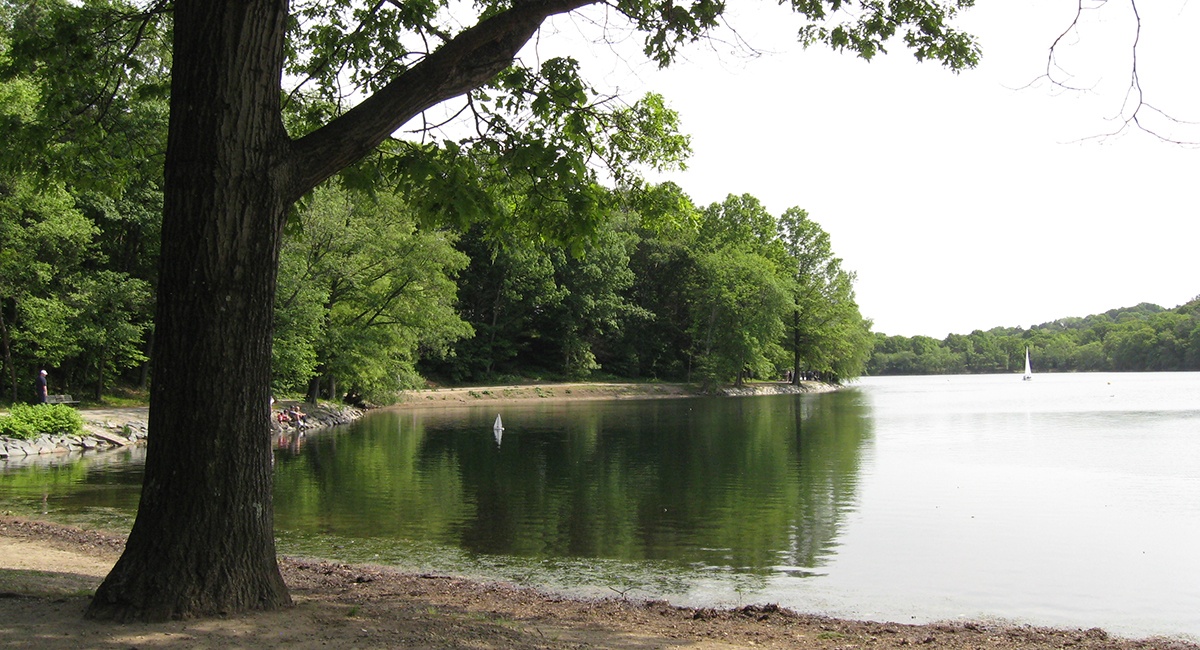 jamaica-pond-social